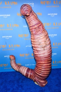 Heidi Klum (Worm)